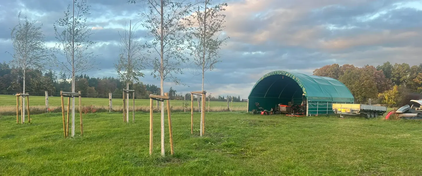 Zelené pole s výsadbou a fóliovníkem